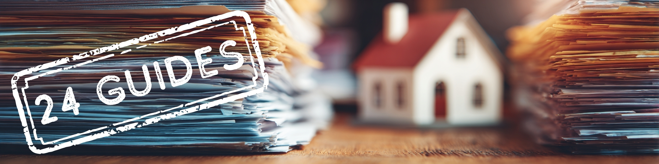 24 Government Guides? No Thanks. Our Clients Skip the Stress.